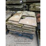 *APPROX 20M SQUARED CRAZY PAVING