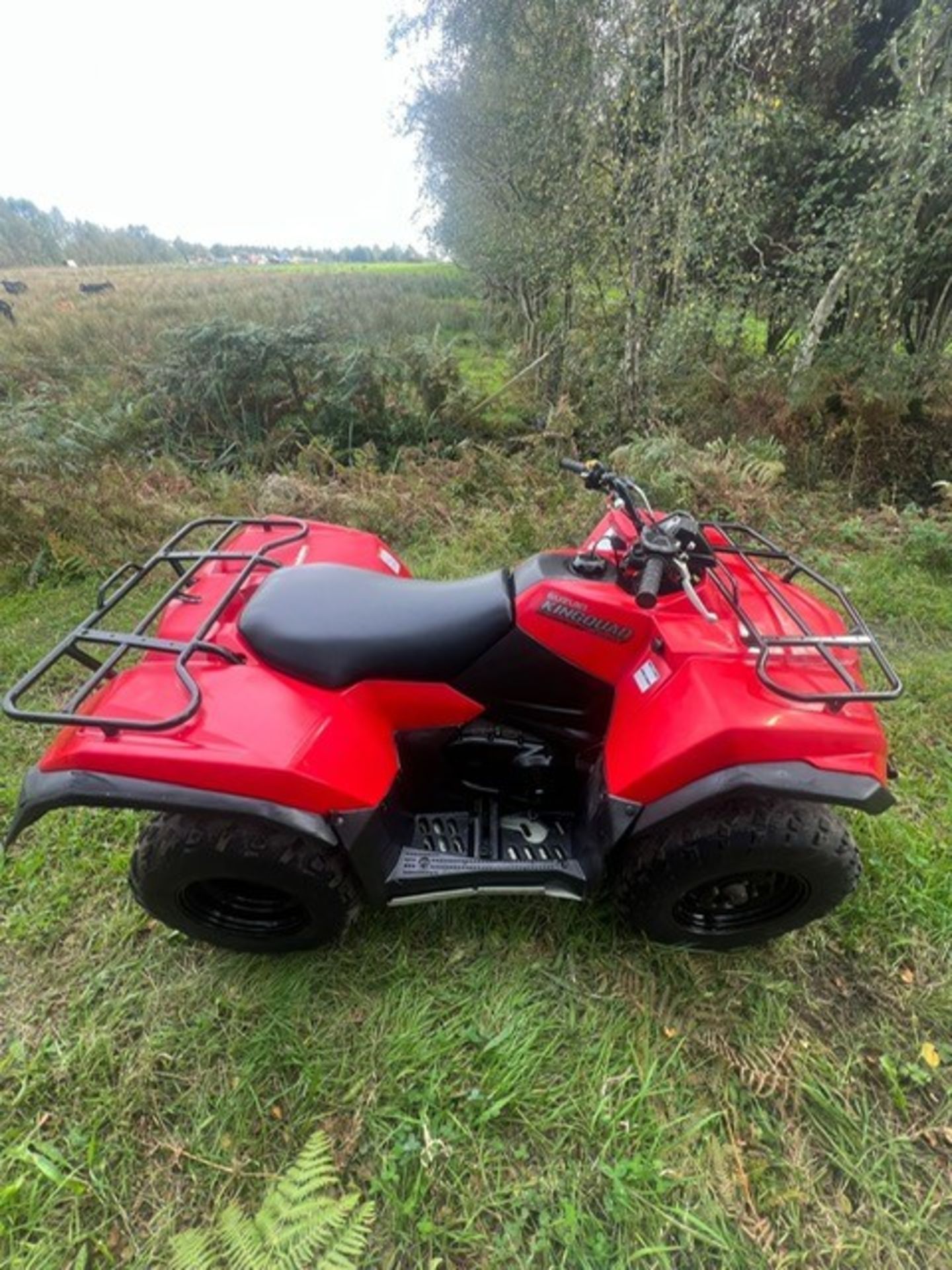 SUZUKI KINGQUAD 400 FARM QUAD BIKE - Image 7 of 14