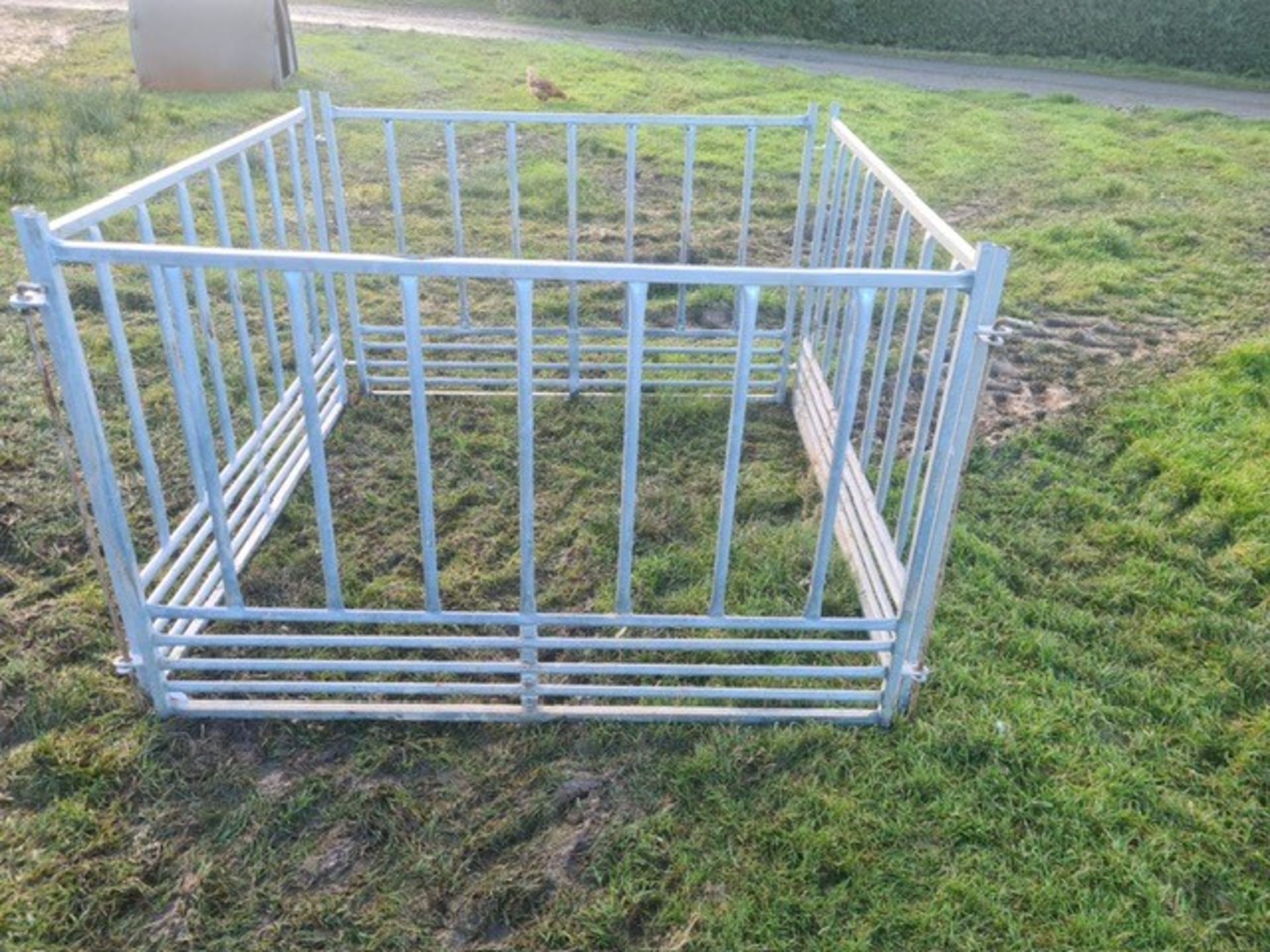 SHEEP FEEDER (AS NEW)