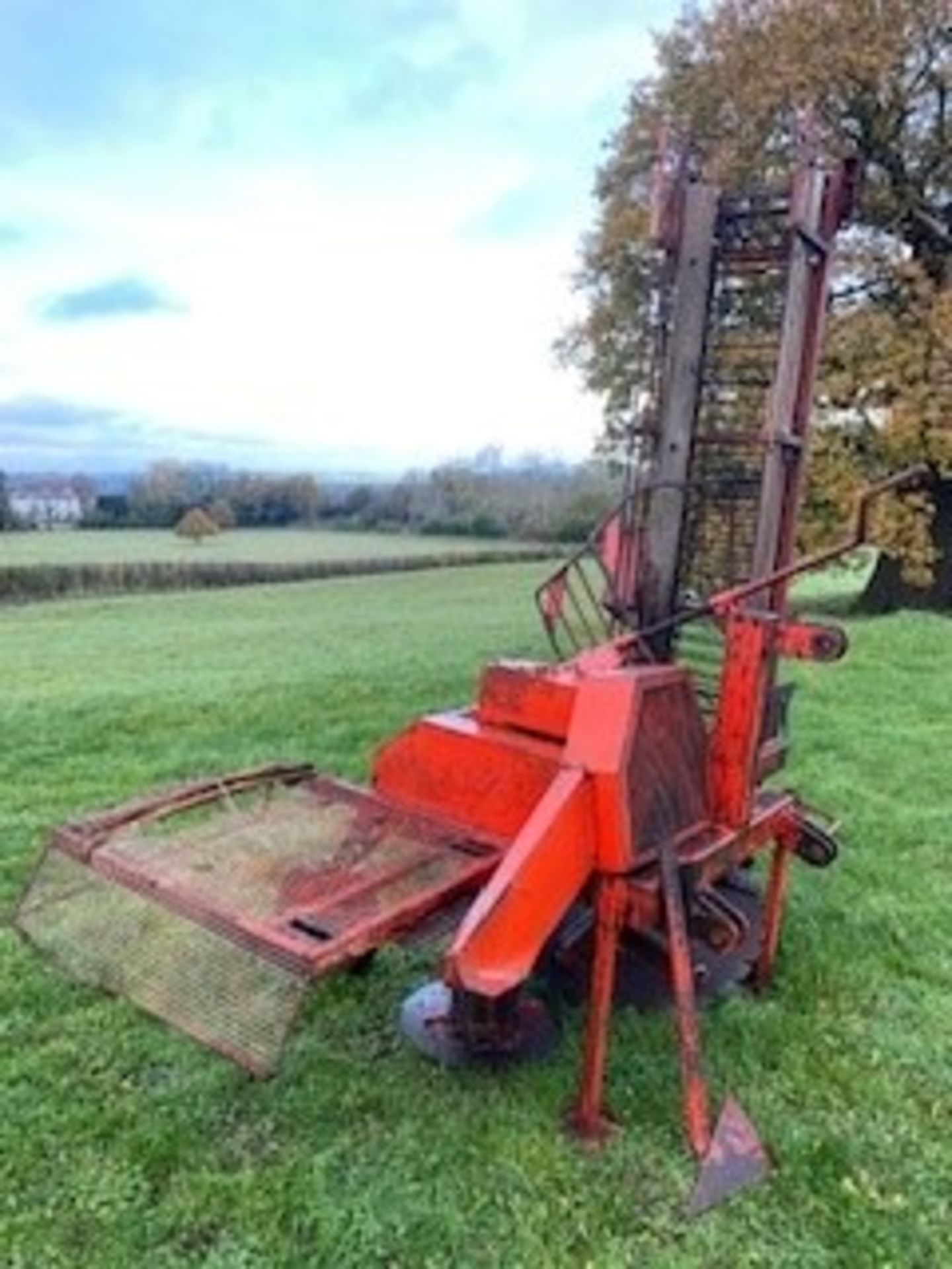 BAMFORD SWEDE/TURNIP HARVESTER - Image 3 of 5