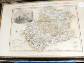 LANGLEYS NEW MAP OF MONTGOMERYSHIRE 1818