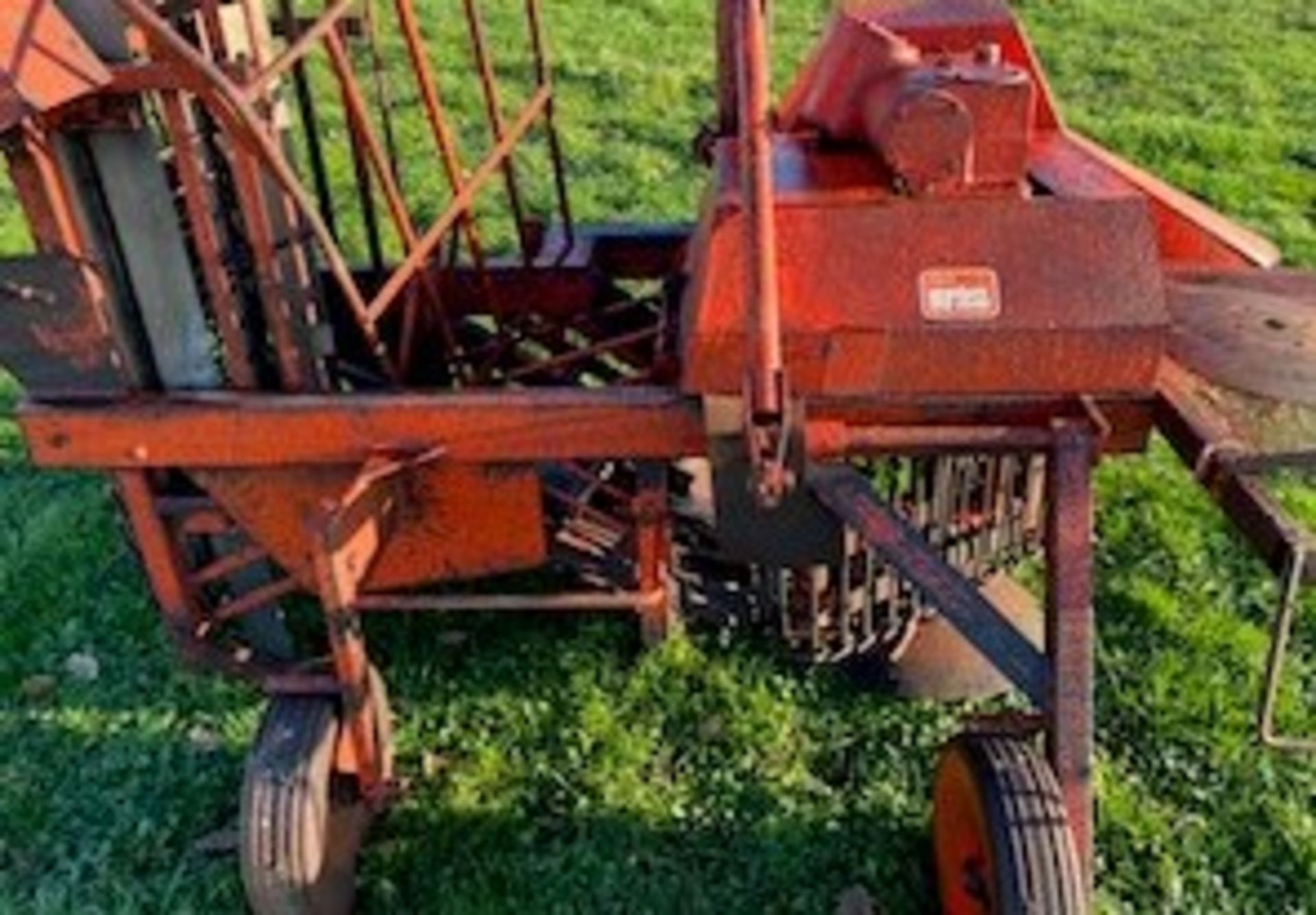 BAMFORD TURNIP HARVESTER - Image 3 of 4