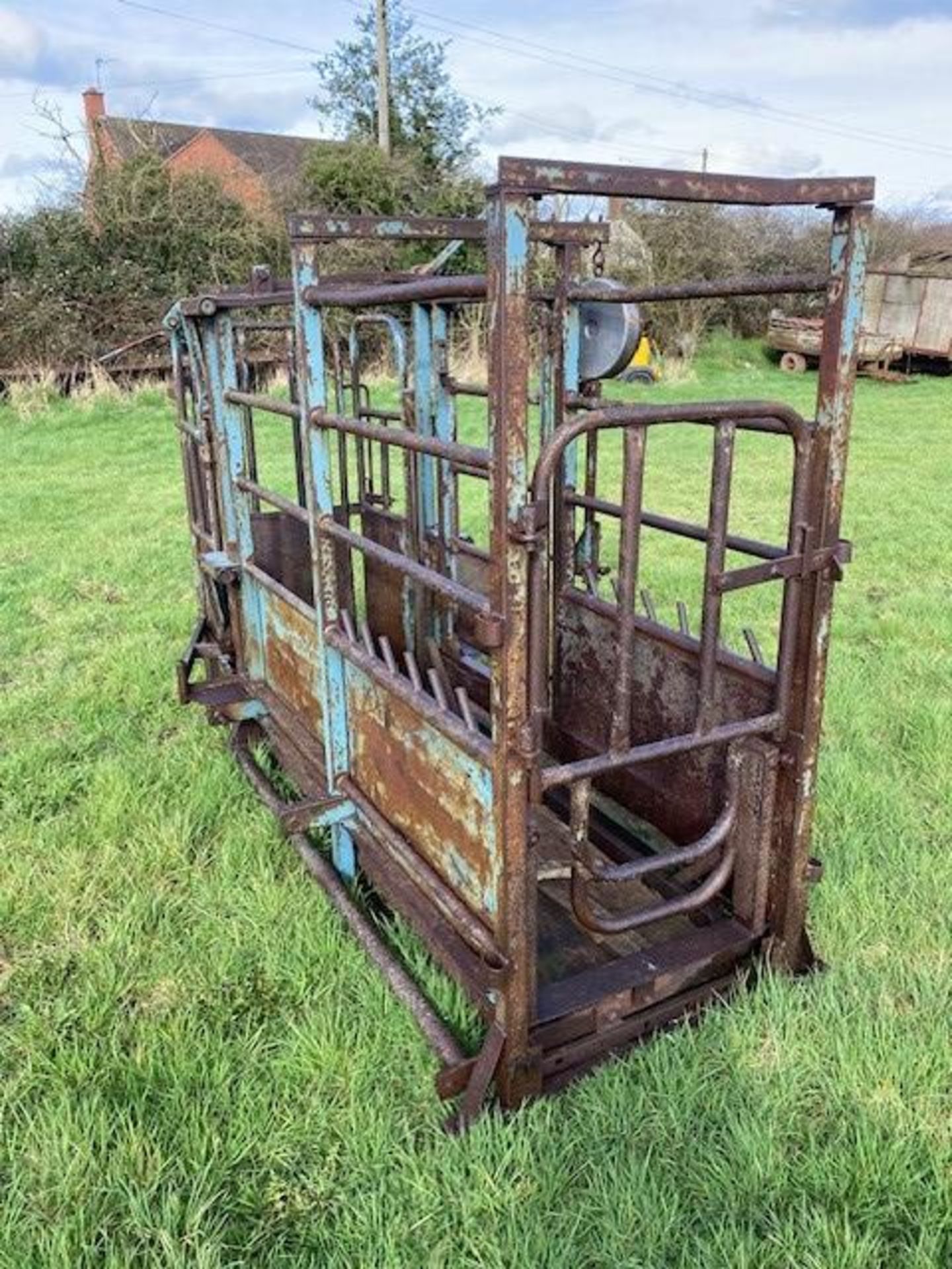 CATTLE CRUSH WEIGHING SCALES - NO VAT - Image 2 of 3
