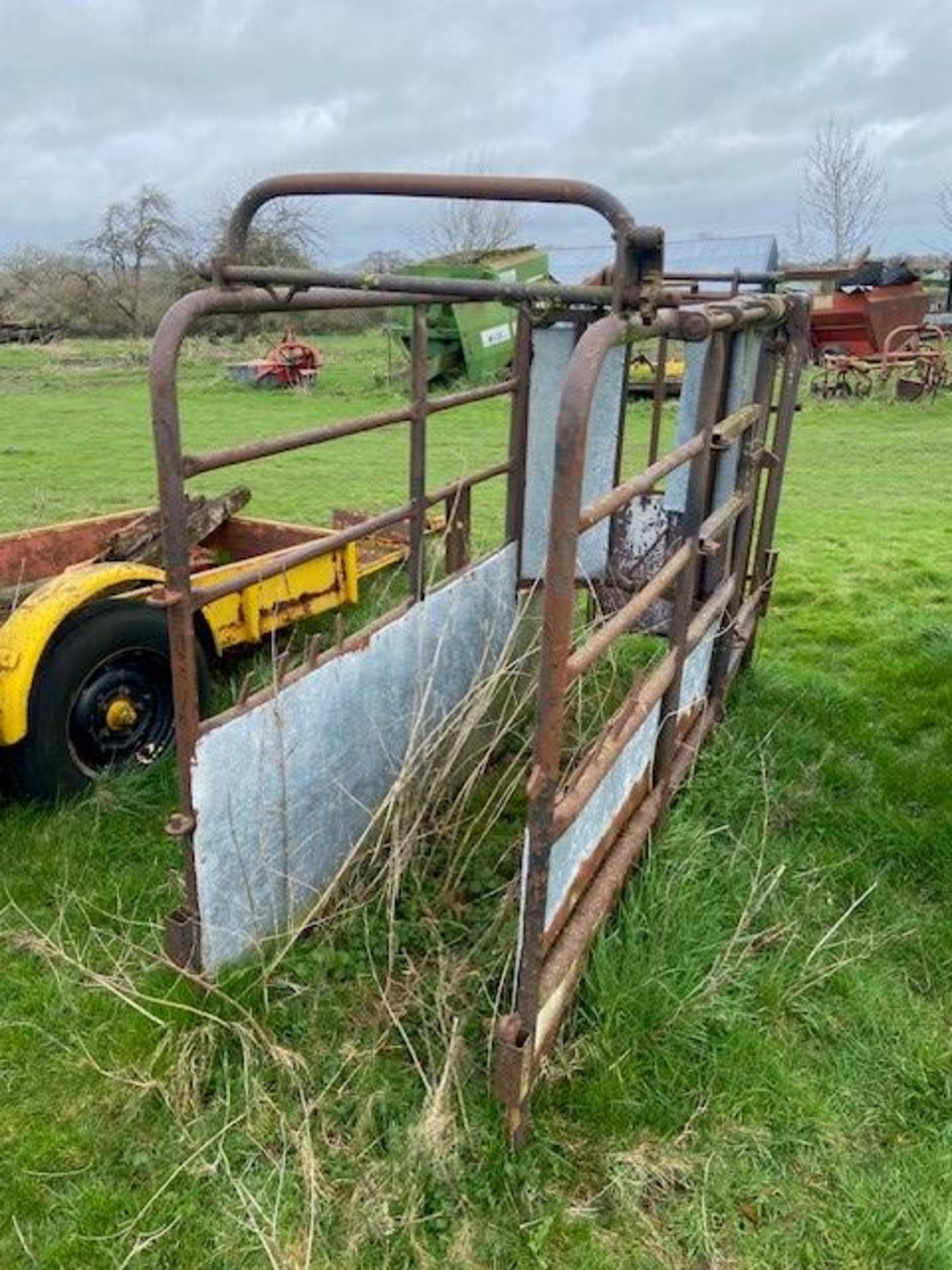 CATTLE CRUSH WITH FOOT TRIMMING BAR