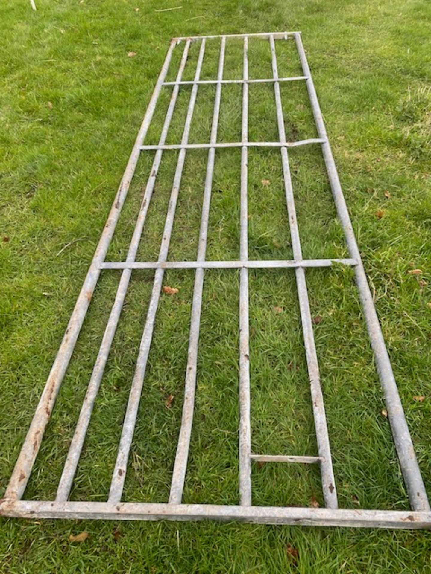 12FT GALVANISED GATE