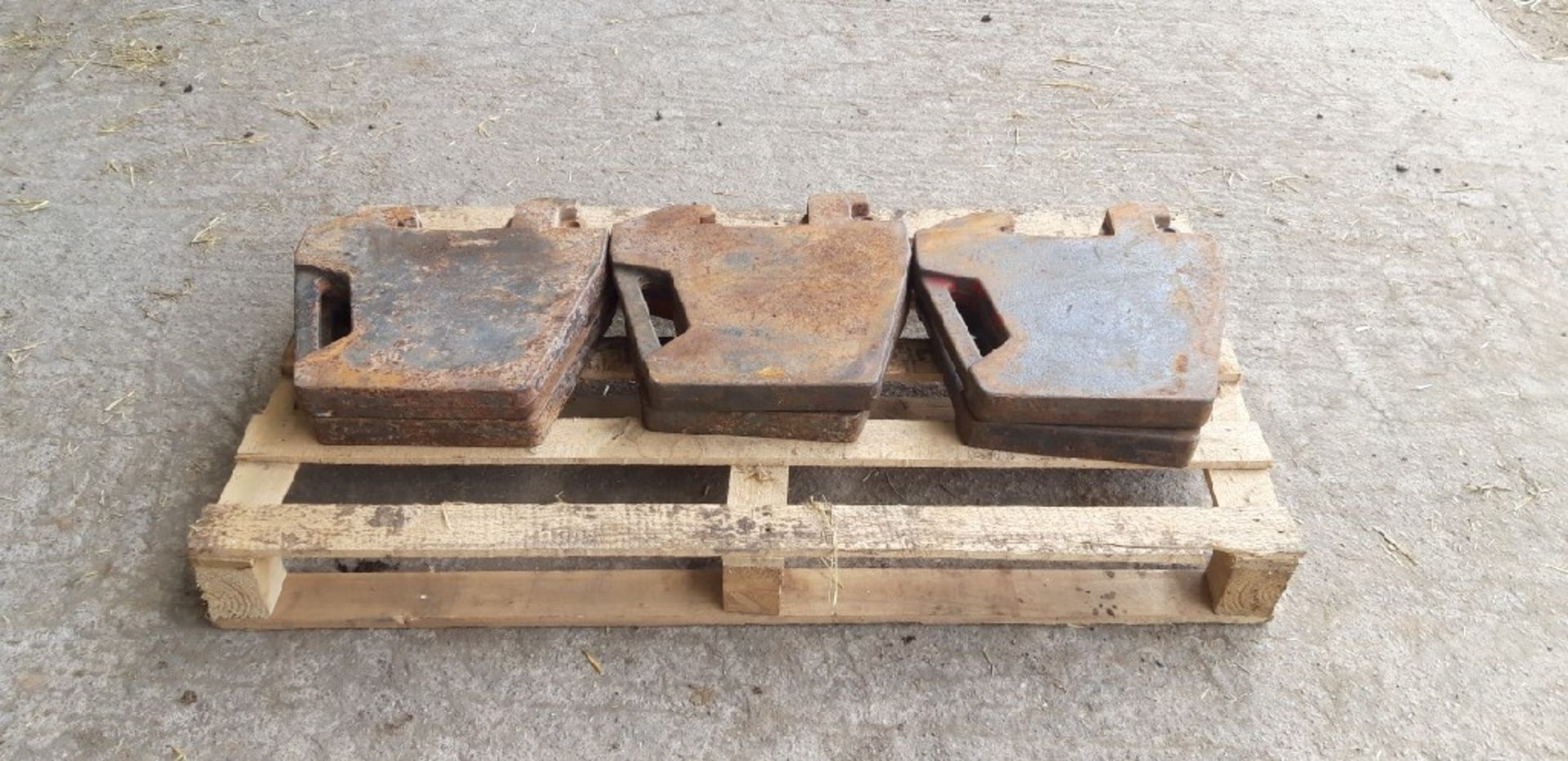 6 X MASSEY FERGUSON 45kg WEIGHTS - Image 3 of 4