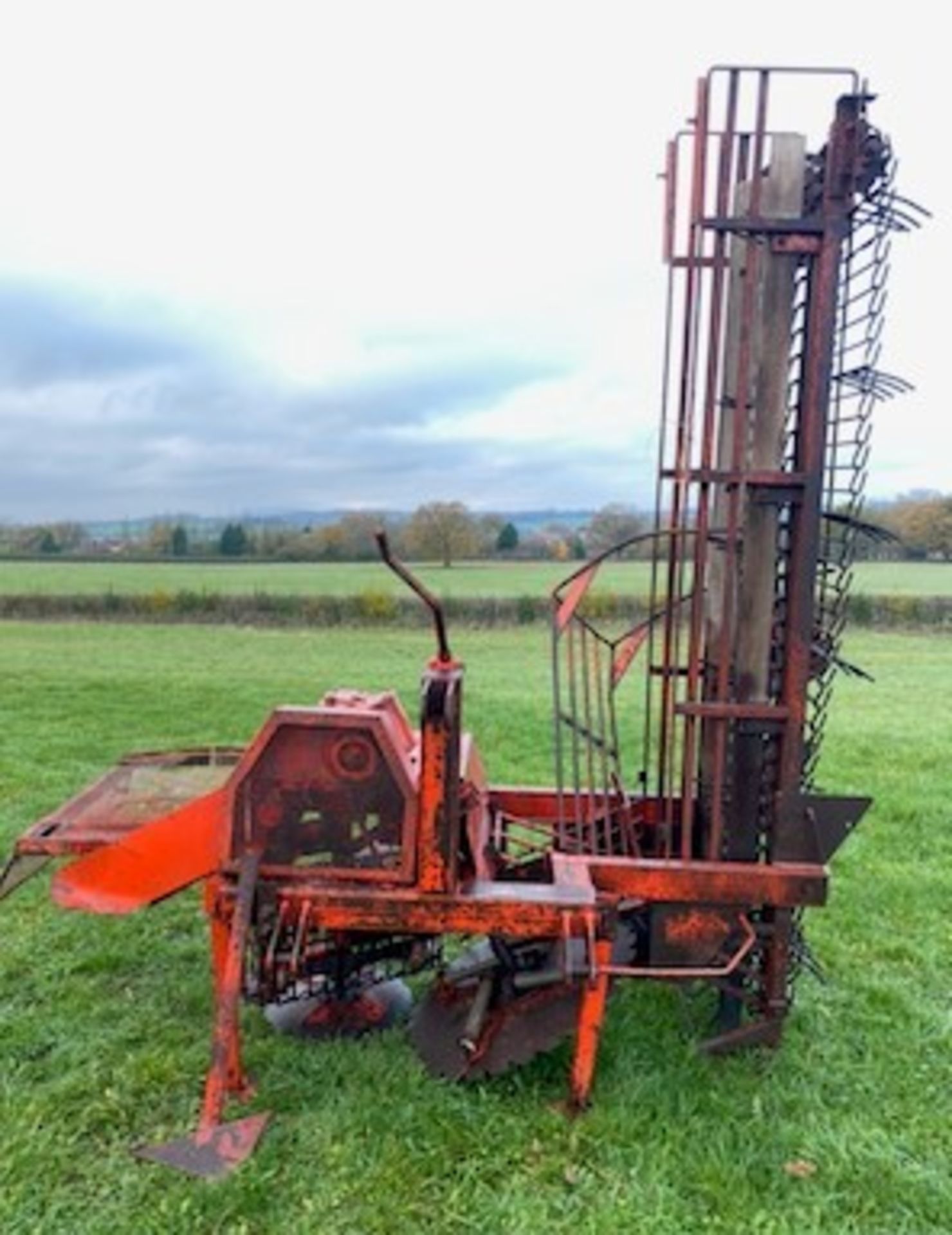 BAMFORD TURNIP HARVESTER - Image 4 of 4