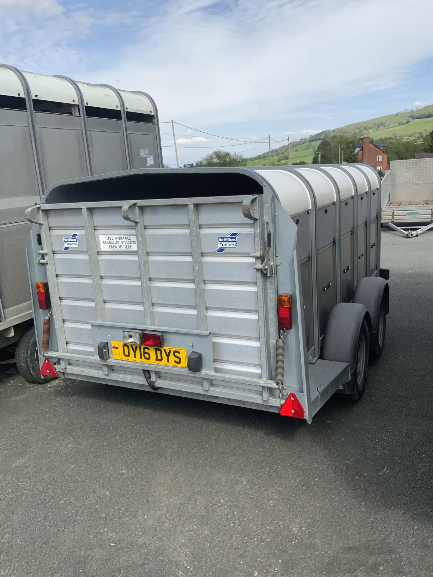 IFOR WILLIAMS 10'X5' TWIN AXLE TRAILER - Image 5 of 5