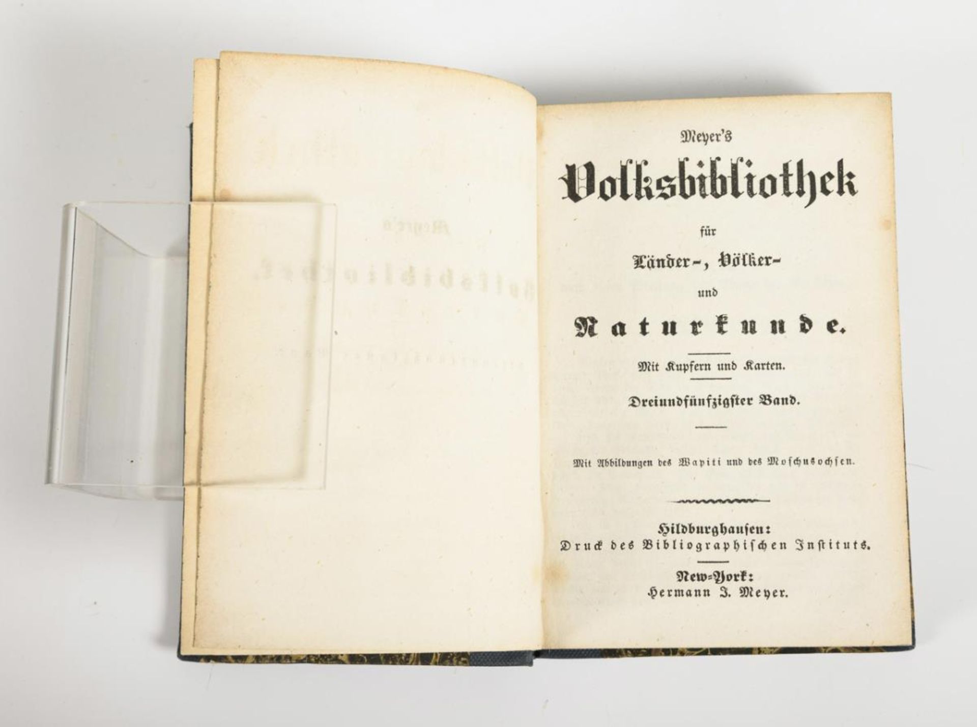 19 Bände "Meyer's Volksbibliothek für Länder-, Völker-, und Naturkunde". - Bild 2 aus 2