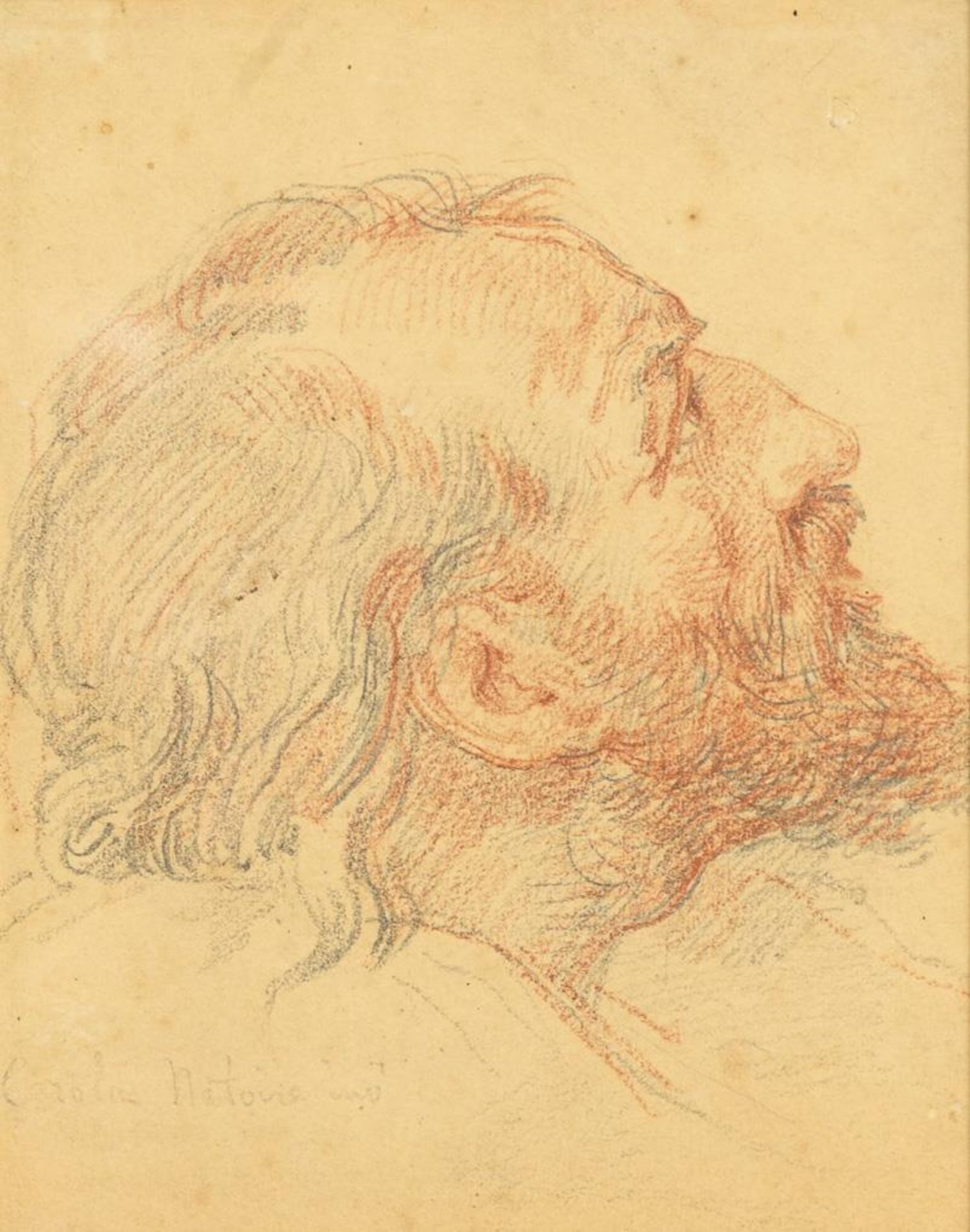 NATOIRE, Charles-Joseph (zugeschrieben) (1700 Nîmes - 1777 Rom). Kopf eines Herren im Profil.