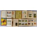 Antiquarische Sammelbilder (um 1900), farbig lithogr./versch. Themen - 10x Alben 
