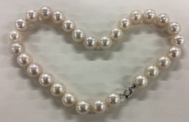 A large pearl necklace with white gold ring clasp.