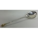 A 16th Century English Provincial silver wrythen knop spoon with spiral gilt finial. Marked to bowl.