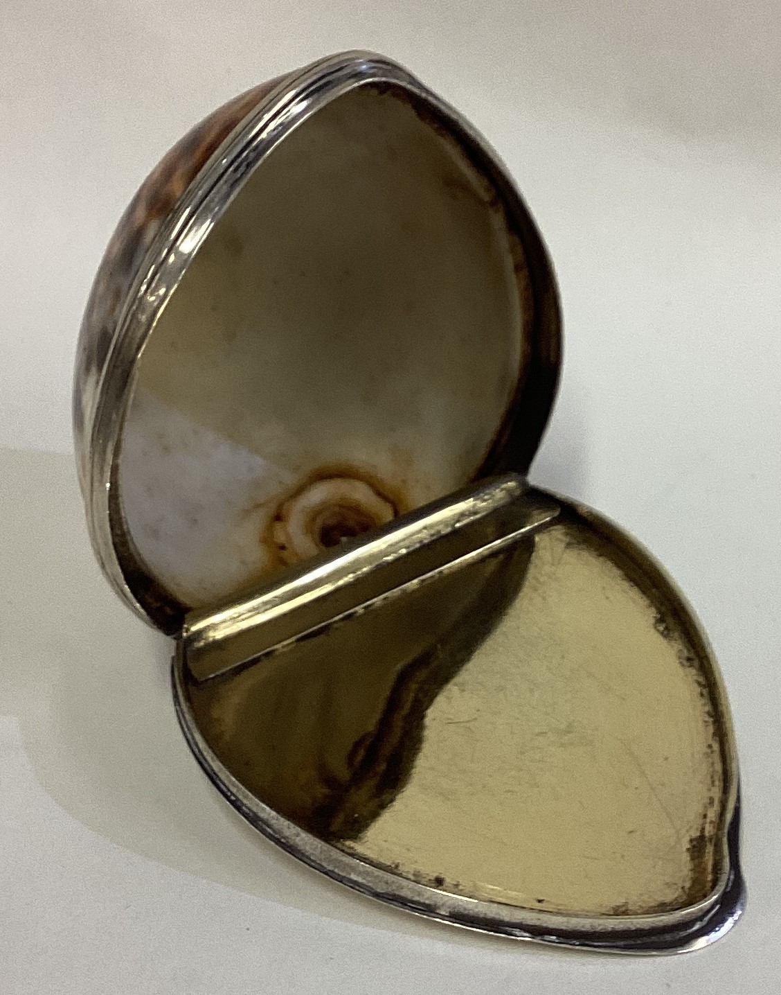 A fine 18th Century Scottish silver mounted cowrie shell snuff box / mull with hinged lid. - Image 3 of 3