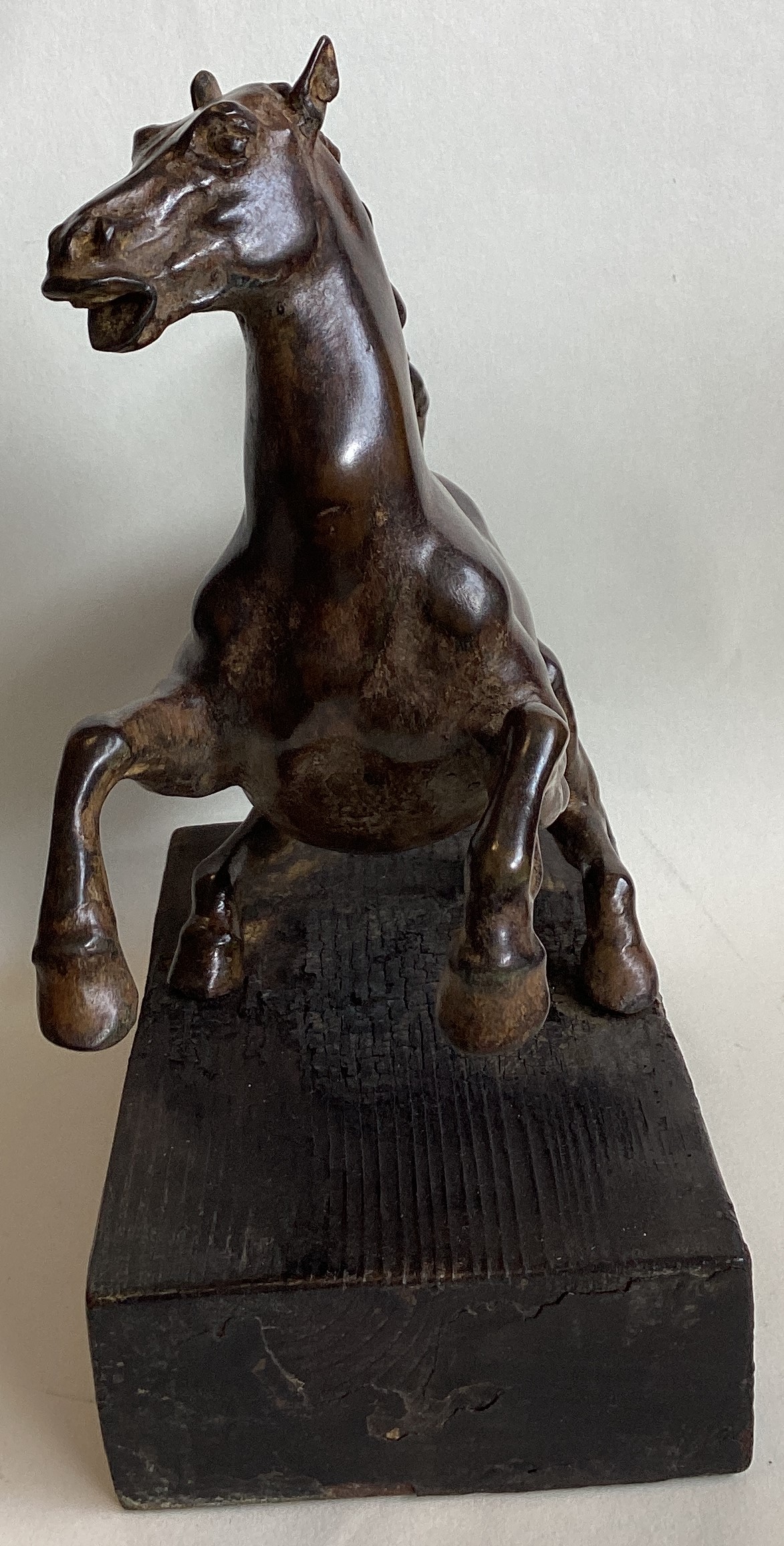 A bronze figure of a rearing horse mounted on wood plinth. - Image 3 of 7