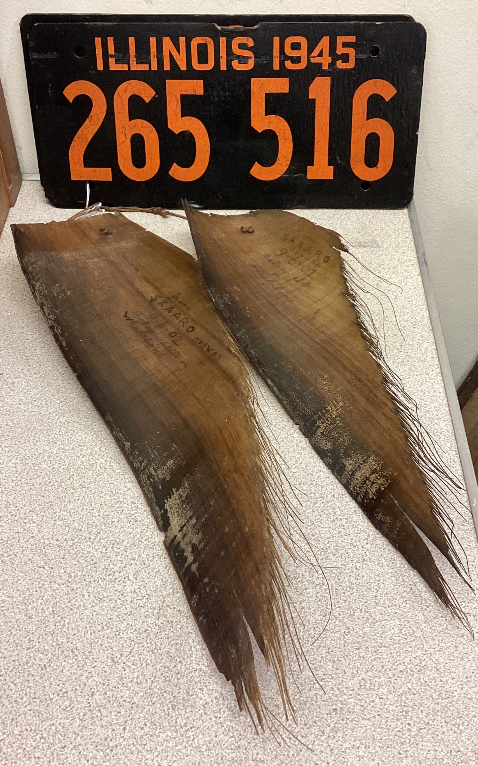 A pair of Illinois plates together with two whale skins.