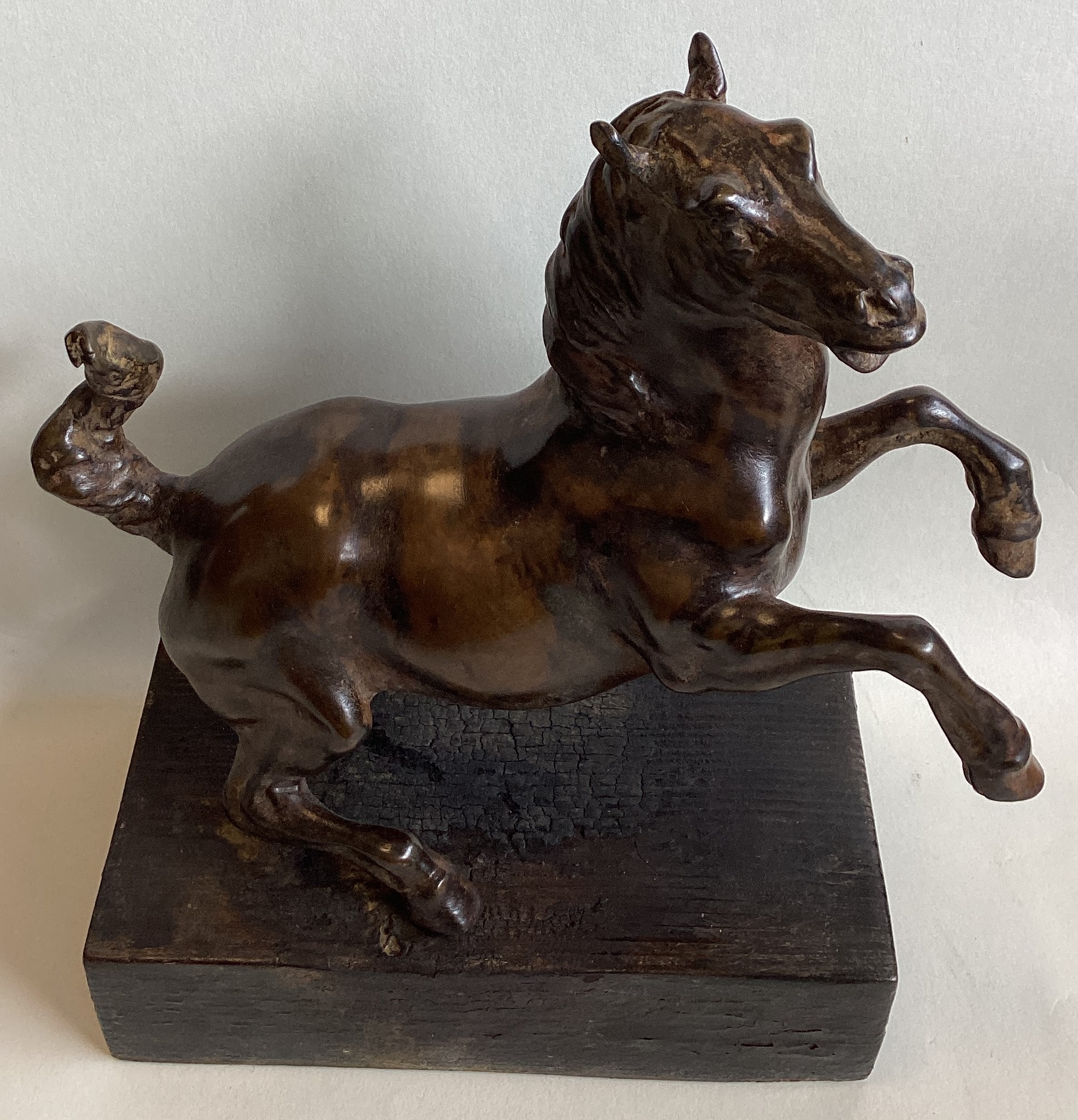 A bronze figure of a rearing horse mounted on wood plinth. - Image 6 of 7