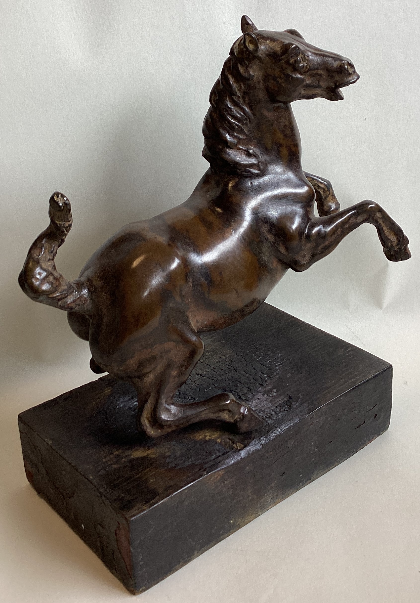 A bronze figure of a rearing horse mounted on wood plinth. - Image 7 of 7