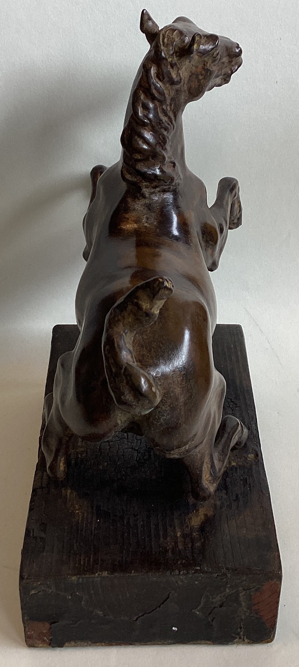 A bronze figure of a rearing horse mounted on wood plinth. - Image 5 of 7