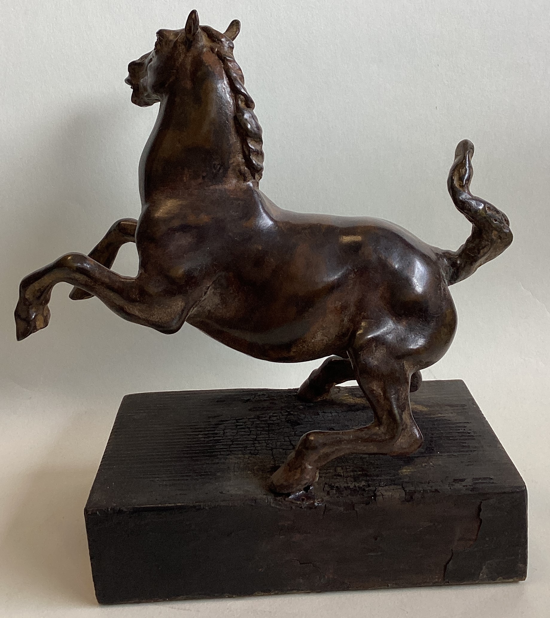 A bronze figure of a rearing horse mounted on wood plinth. - Image 4 of 7