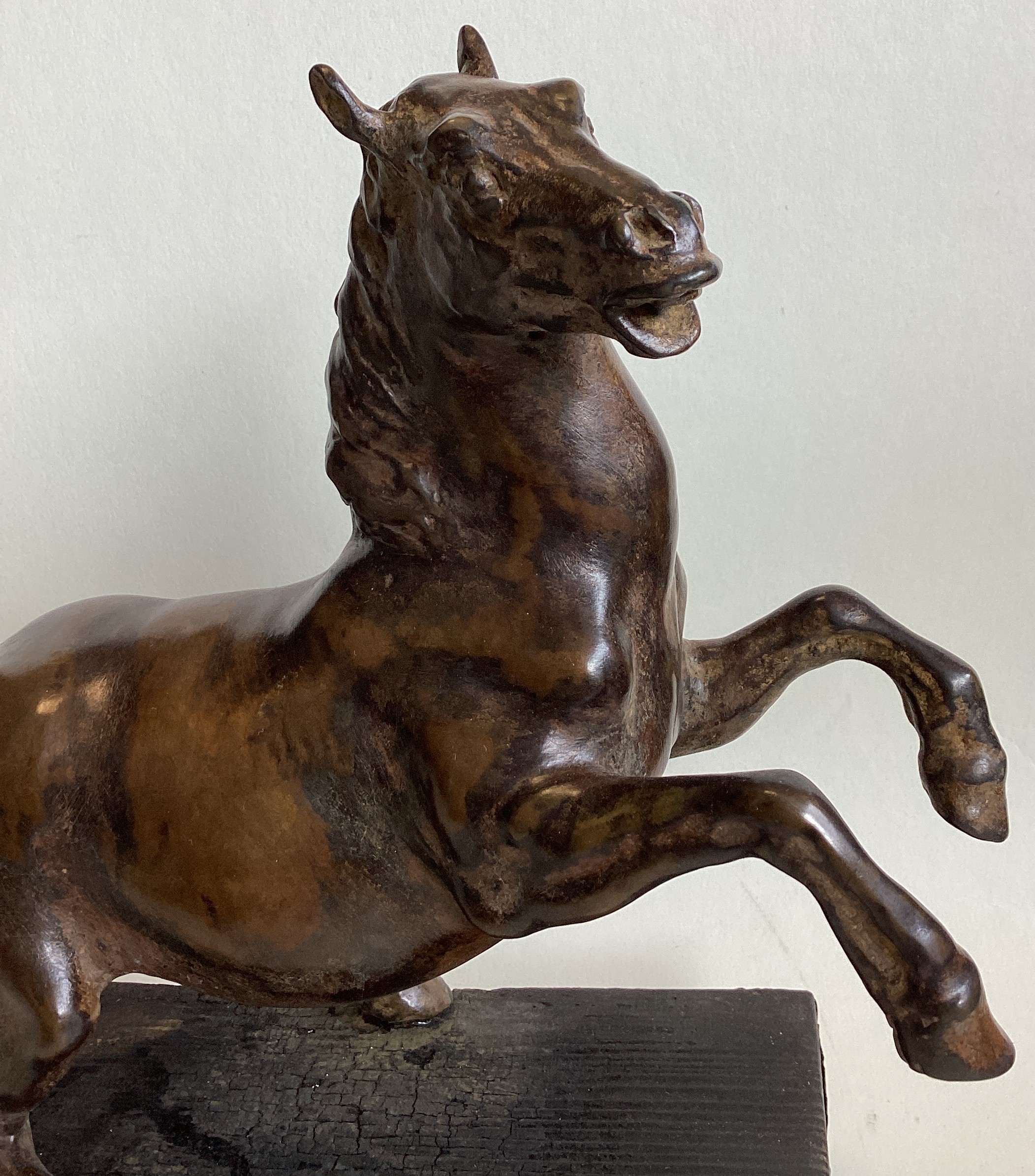 A bronze figure of a rearing horse mounted on wood plinth. - Image 2 of 7