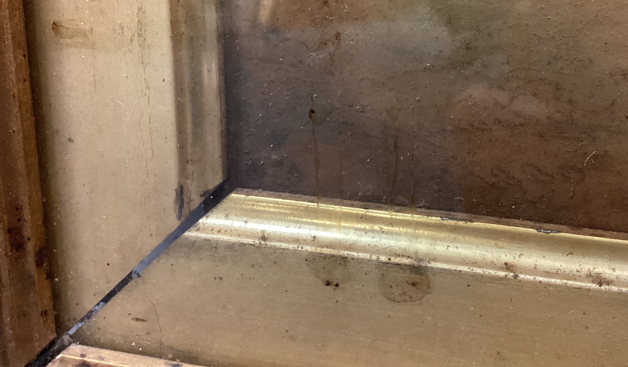 A gilt framed and glazed watercolour depicting a prize black stallion with white blaze and sock. - Image 2 of 3