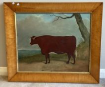 A maple framed oil on board depicting a cow.