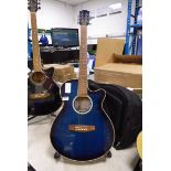 +VAT Blue moon acoustic guitar with back