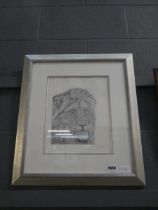 Limited ed. print of a Lion, entitled Okavango Warrior