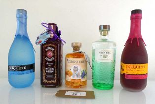 +VAT 5 bottles of Gin, 1x Tarquin's Raspberry & Mango Gin 38% 70cl, 1x Tarquin's Cornish Dry 42%