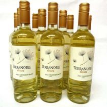+VAT 24 bottles of Terranoble Estate 2022 Sauvignon Blanc Chile (Note VAT added to bid price)