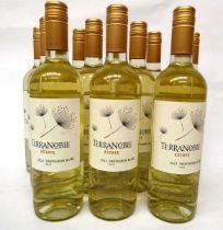 +VAT 36 bottles of Terranoble Estate 2022 Sauvignon Blanc Chile (Note VAT added to bid price)