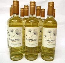+VAT 24 bottles of Terranoble Estate 2022 Sauvignon Blanc Chile (Note VAT added to bid price)