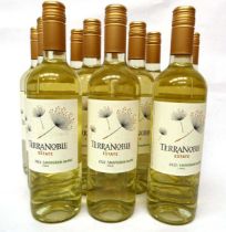 +VAT 24 bottles of Terranoble Estate 2022 Sauvignon Blanc Chile (Note VAT added to bid price)