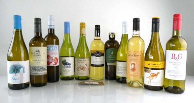 +VAT 11 bottles of White, 1x Wise Wolf Chardonnay 2022 France, 1x Lindeman's Tollana Chardonnay