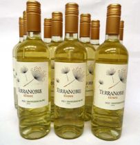 +VAT 12 bottles of Terranoble Estate 2022 Sauvignon Blanc Chile (Note VAT added to bid price)
