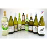 +VAT 13 bottles White, 2x Le Fat Bastard Chardonnay 2022 IGP, 4x Blossom Hill Pinot Grigio 2022,