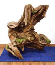 'Natural Driftwood Sculptures': an organic garden structure, weathered, h. 126 cm *Provenance: The