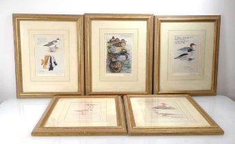 After Peter Scott (1909-1989), 'Common Teal', signed and numbered 19/29, limited edition coloured