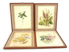 Attributed to Edward Lear, a set of four botanical watercolours, each 23 x 16,5 cm (4) All framed