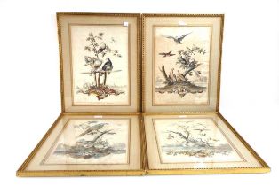 A set of four 19th century hand coloured engravings, each depicting birds and ducks, each 34 x 24 cm