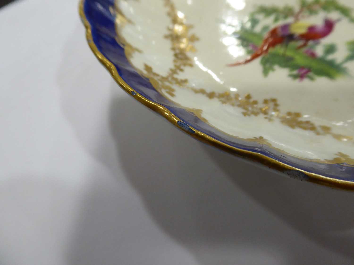 An early Worcester tea cup and saucer dish, each decorated with an exotic bird with a blue and - Image 6 of 6