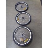 Three bike wheels