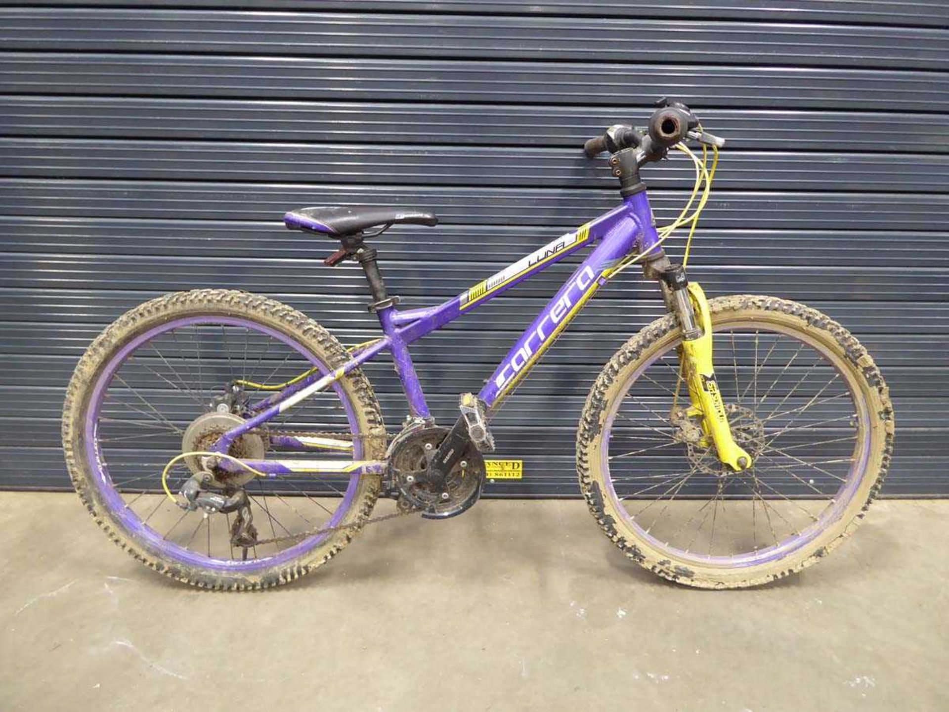 Purple and white Carracara child's bike