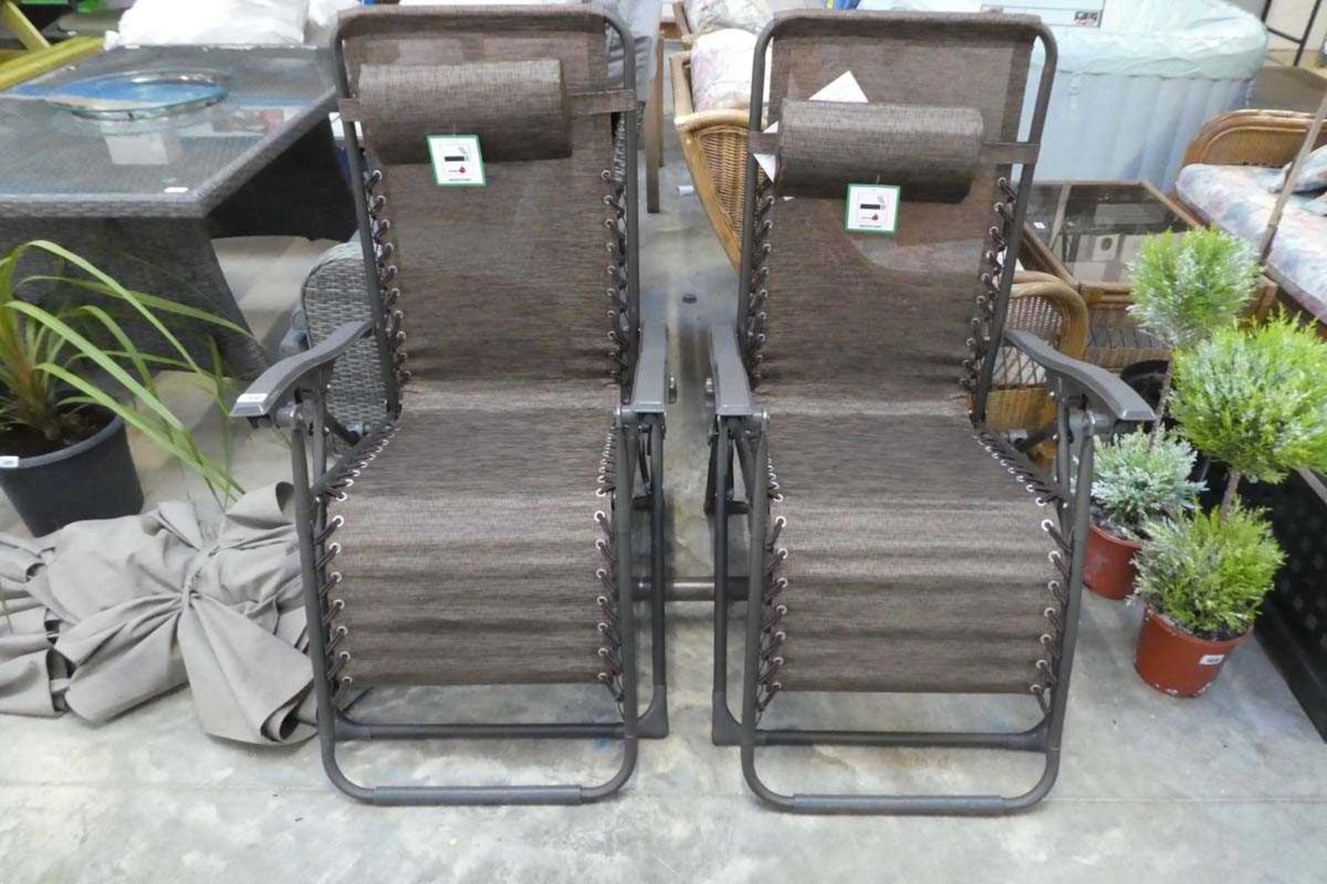 Pair of 2 tone brown reclining sunloungers