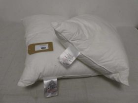 +VAT 2 Snuggledown pillows
