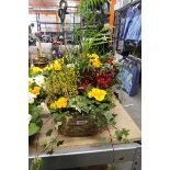 Wicker trough containing mixed plants