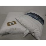 +VAT 2 Hotel Grand pillows