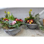 Pair of pre-planted wicker hanging baskets