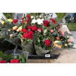 Tray containing 9 potted roses